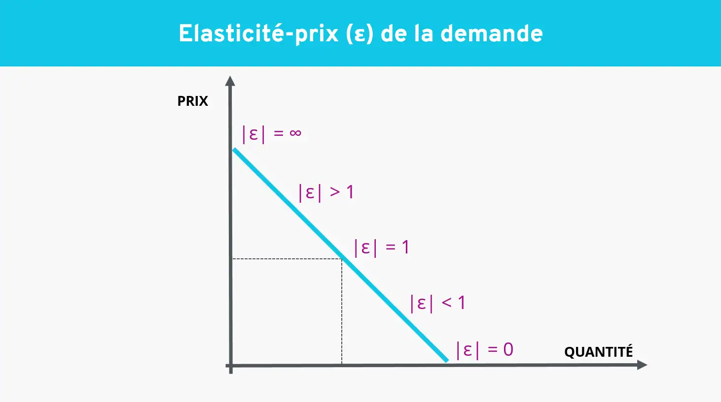 How to calculate price elasticity?