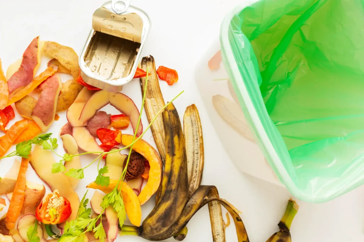 comment reduire le gaspillage alimentaire grace a une supply chain optimisee optimix solutions
