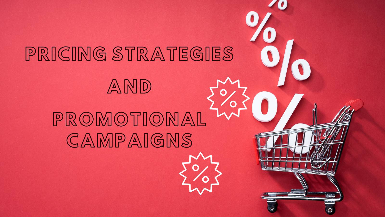 pricing-strategies-and-promotional-campaigns
